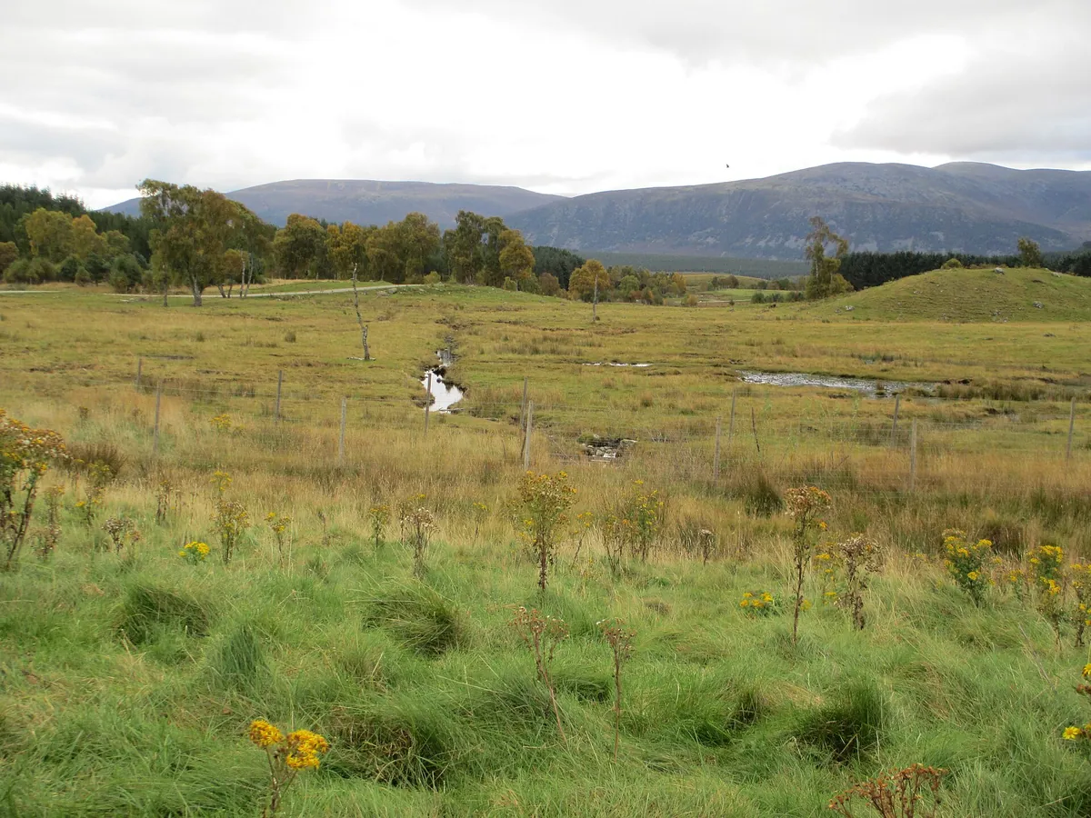 RZSS Highland Wildlife Park