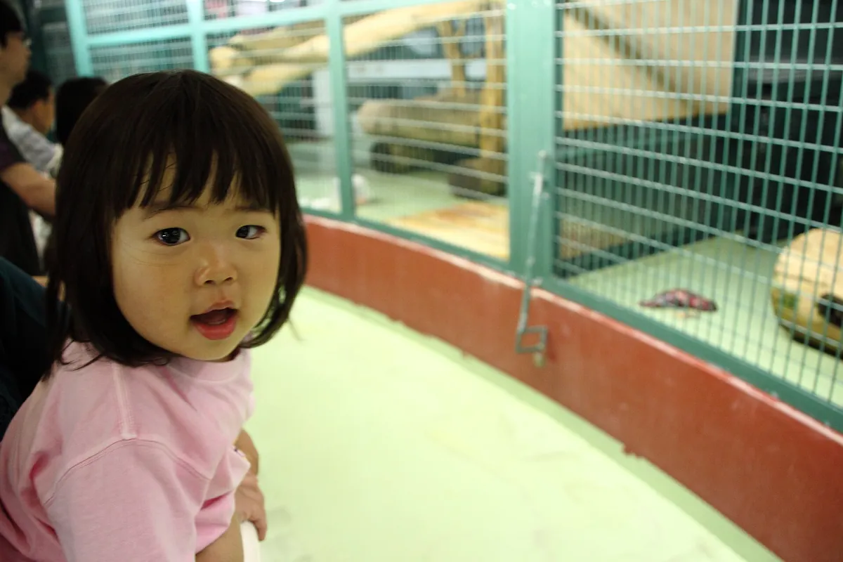 Sapporo Maruyama Zoo