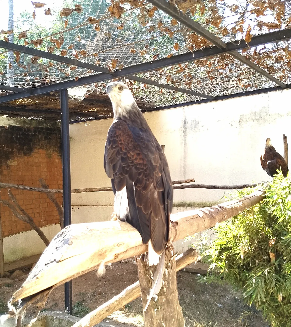 Botanical and Zoological Garden of Tsimbazaza