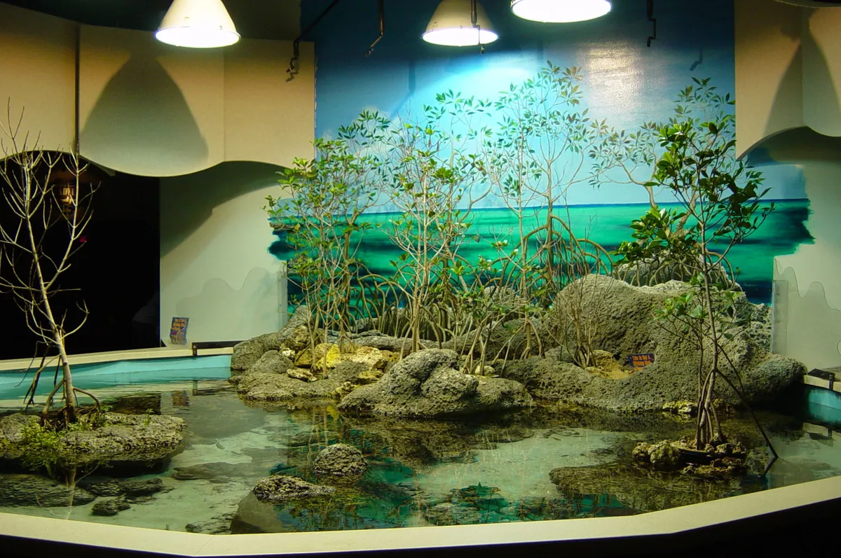 Oklahoma Aquarium