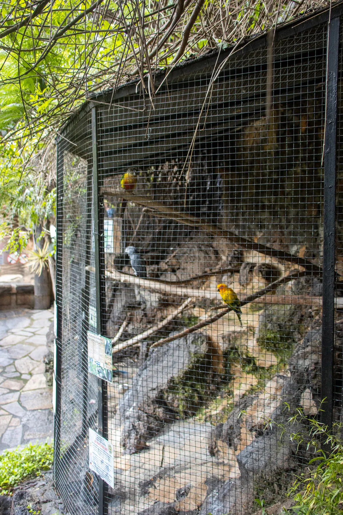 MAROPARQUE ISLA DE LA PALMA