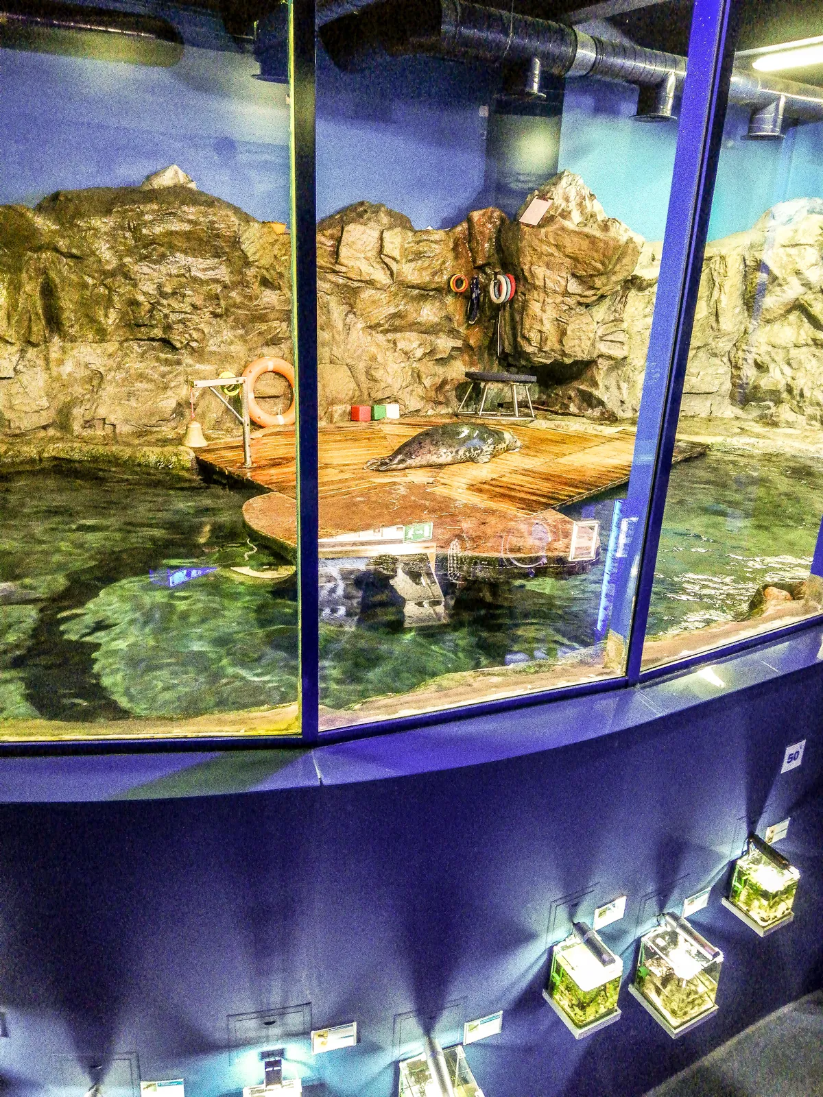 Oceanarium in Saint Petersburg