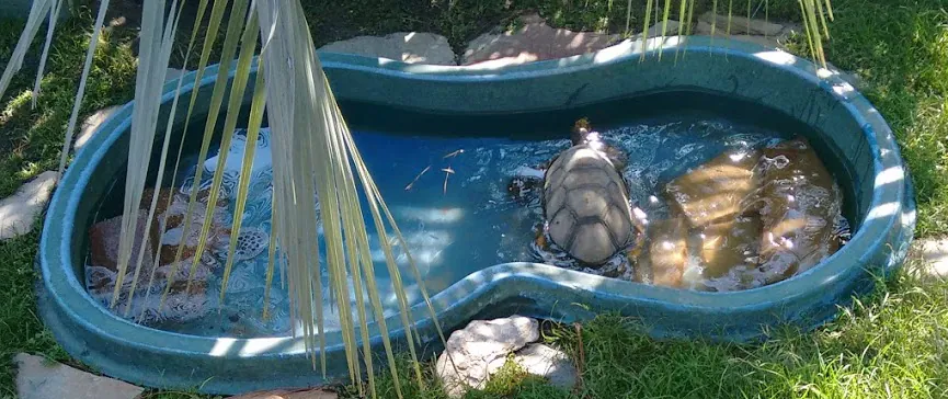 Alabama Gulf Coast Zoo