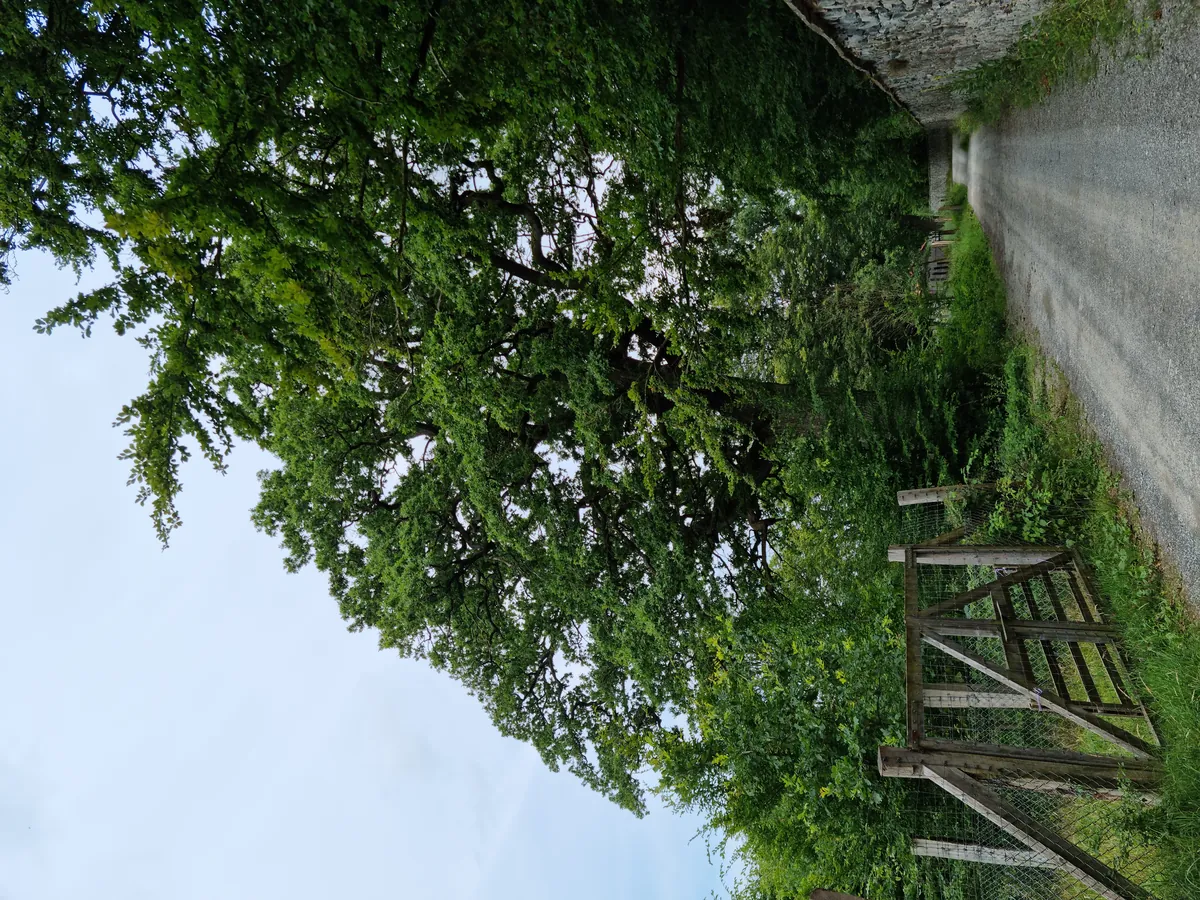 Tierpark Sababurg