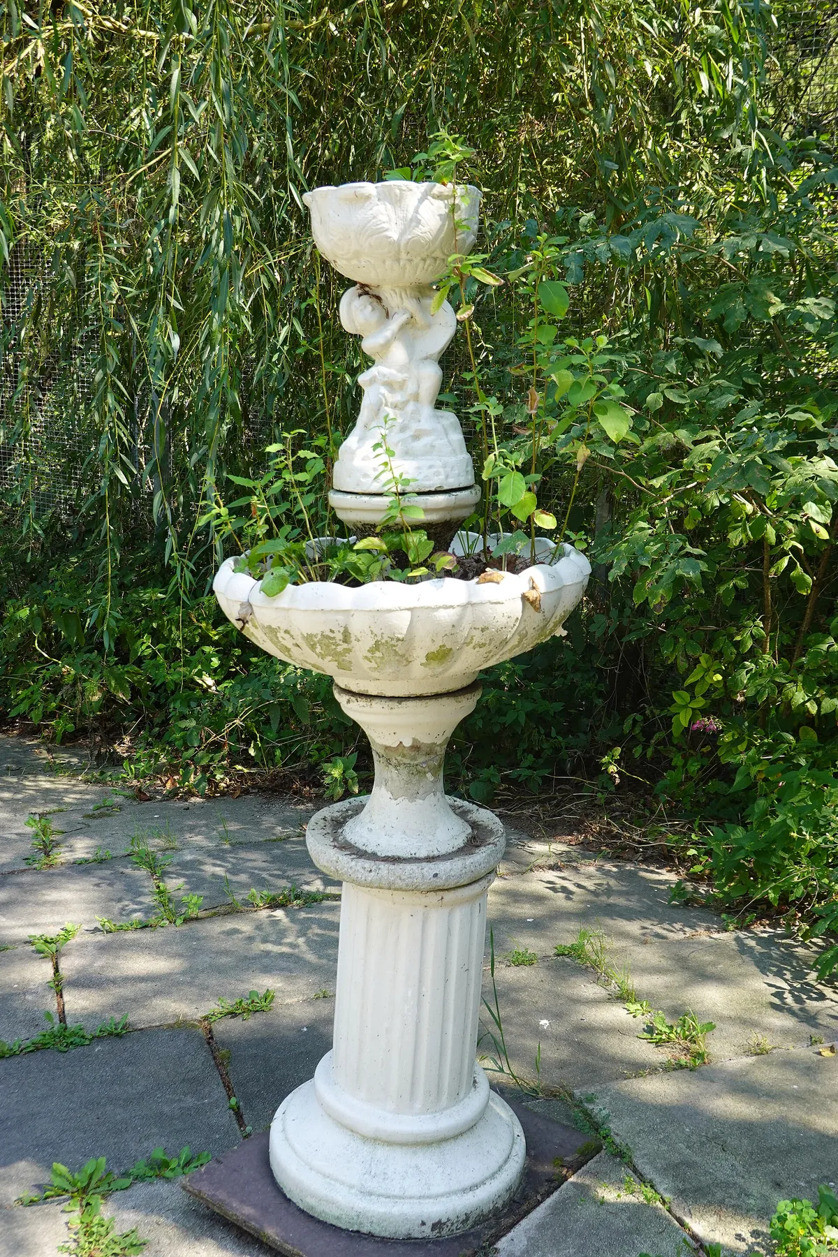 Vogelpark Turnersee