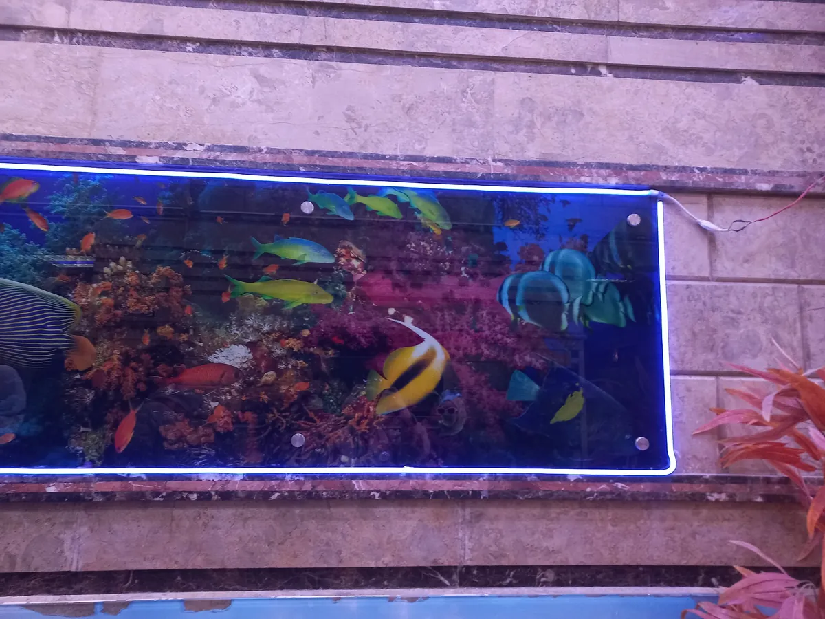 Alexandria Aquarium