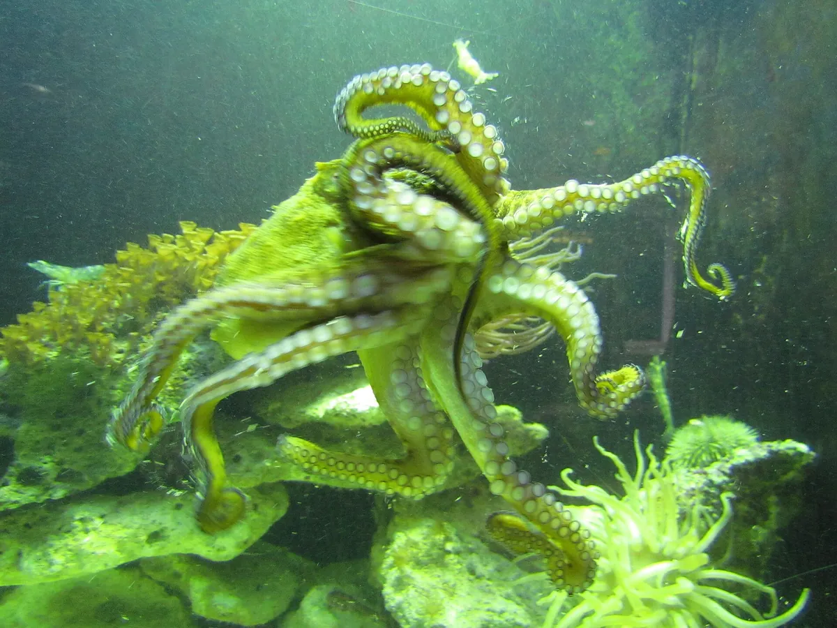 Key West Aquarium