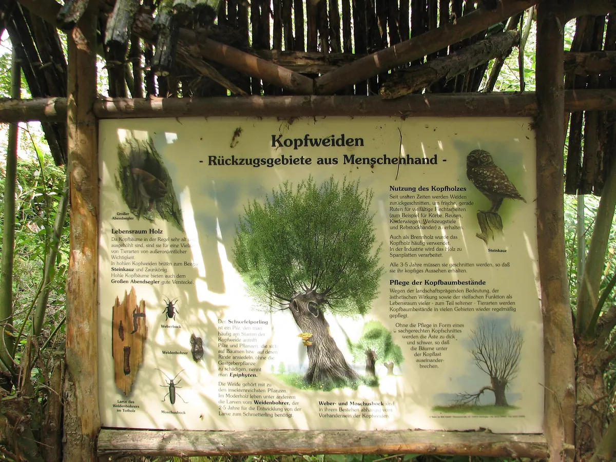 Tierpark Essehof