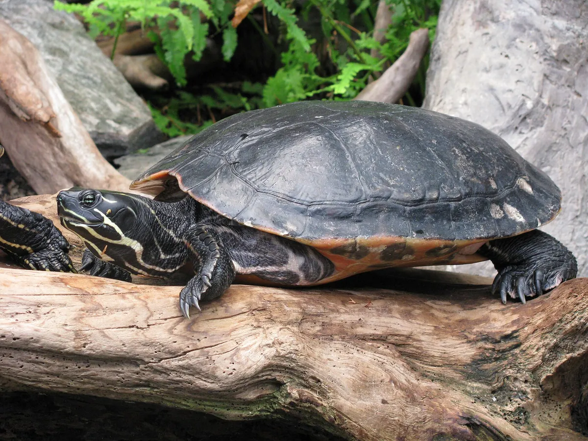 North Carolina Aquarium on Roanoke Island