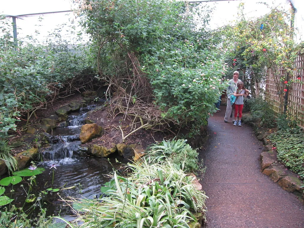 Stratford Butterfly Farm