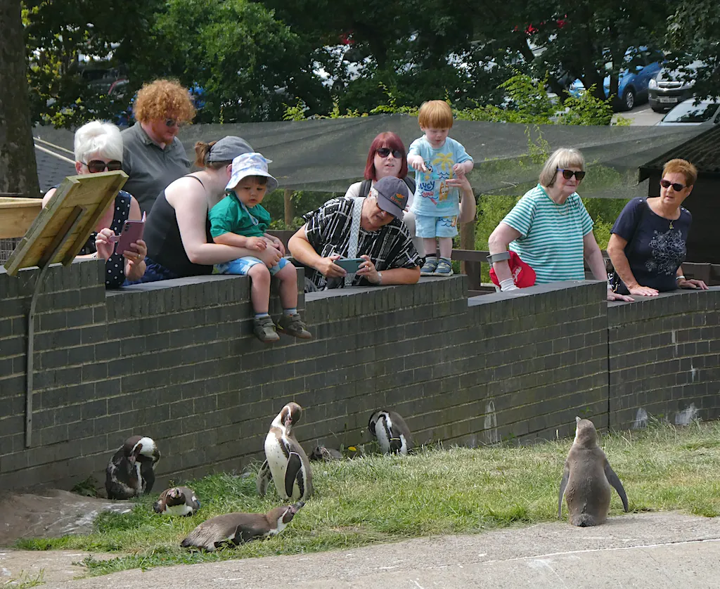 Sewerby Zoo