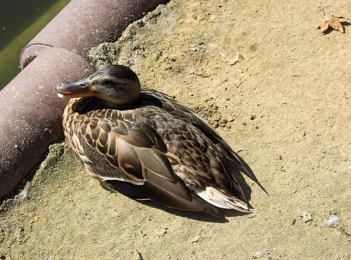 Tierpark Bad Kösen
