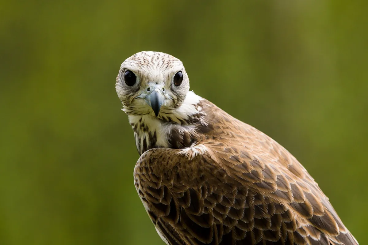 Tierpark Altenfelden