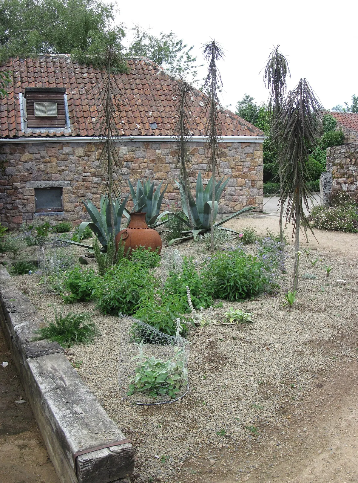 Jersey Zoo
