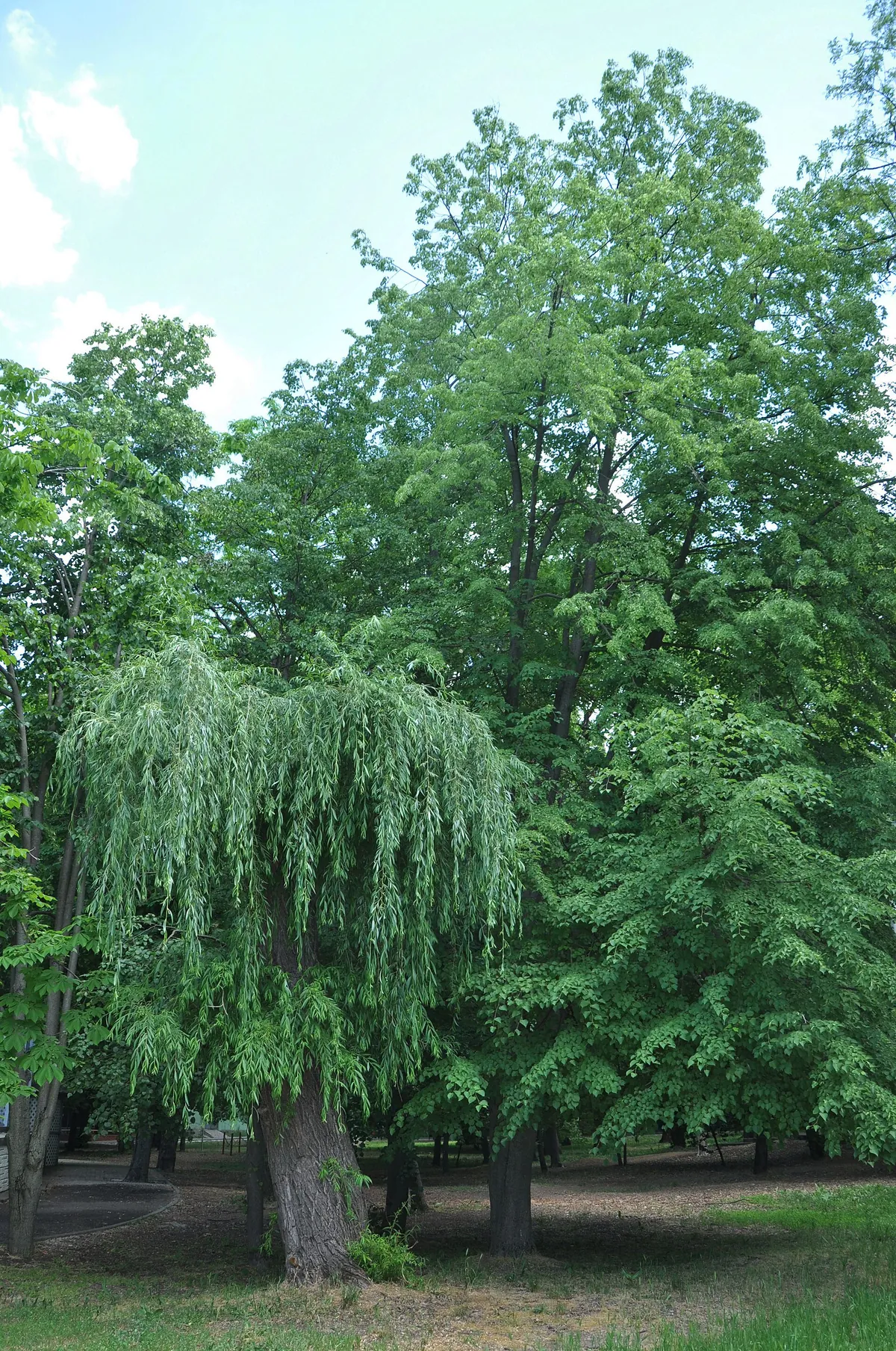 Rostov Zoo