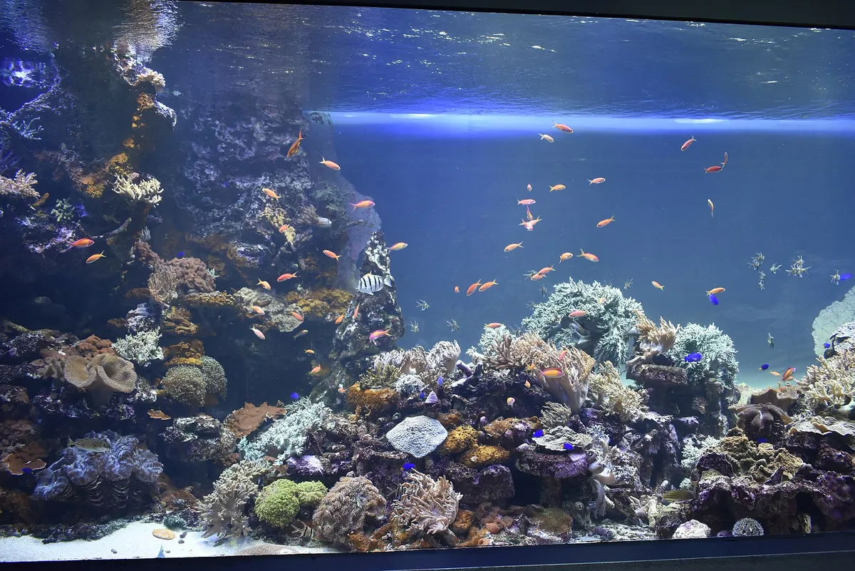 Sunshine Aquarium