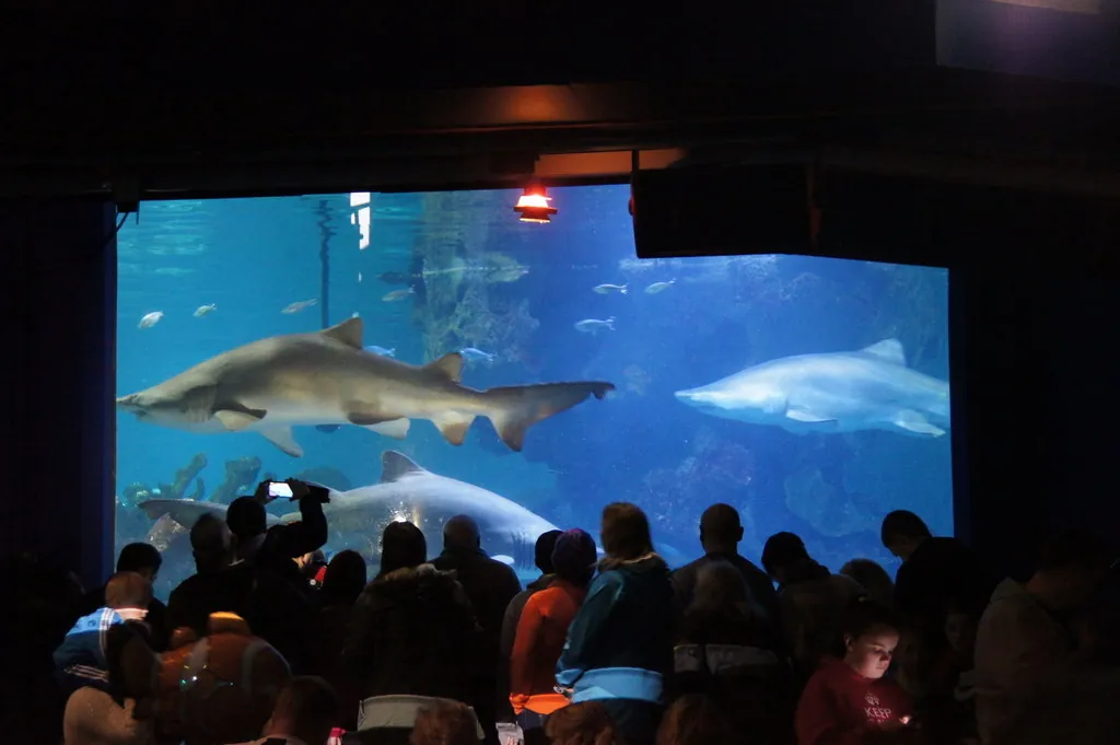 Blue Planet Aquarium
