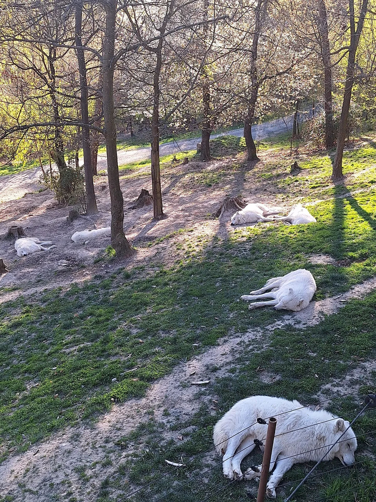 Olomouc Zoo