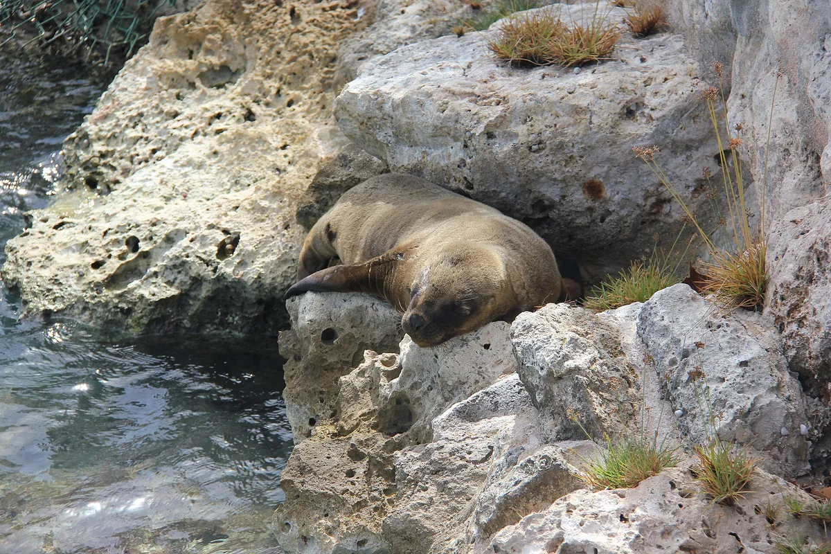 Curaçao Sea Aquarium