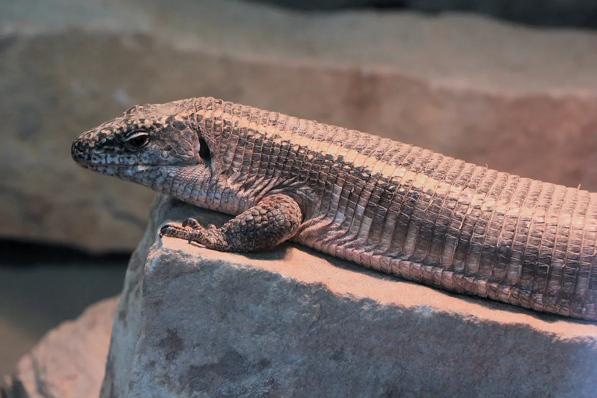 Riverviewpark Andzoo