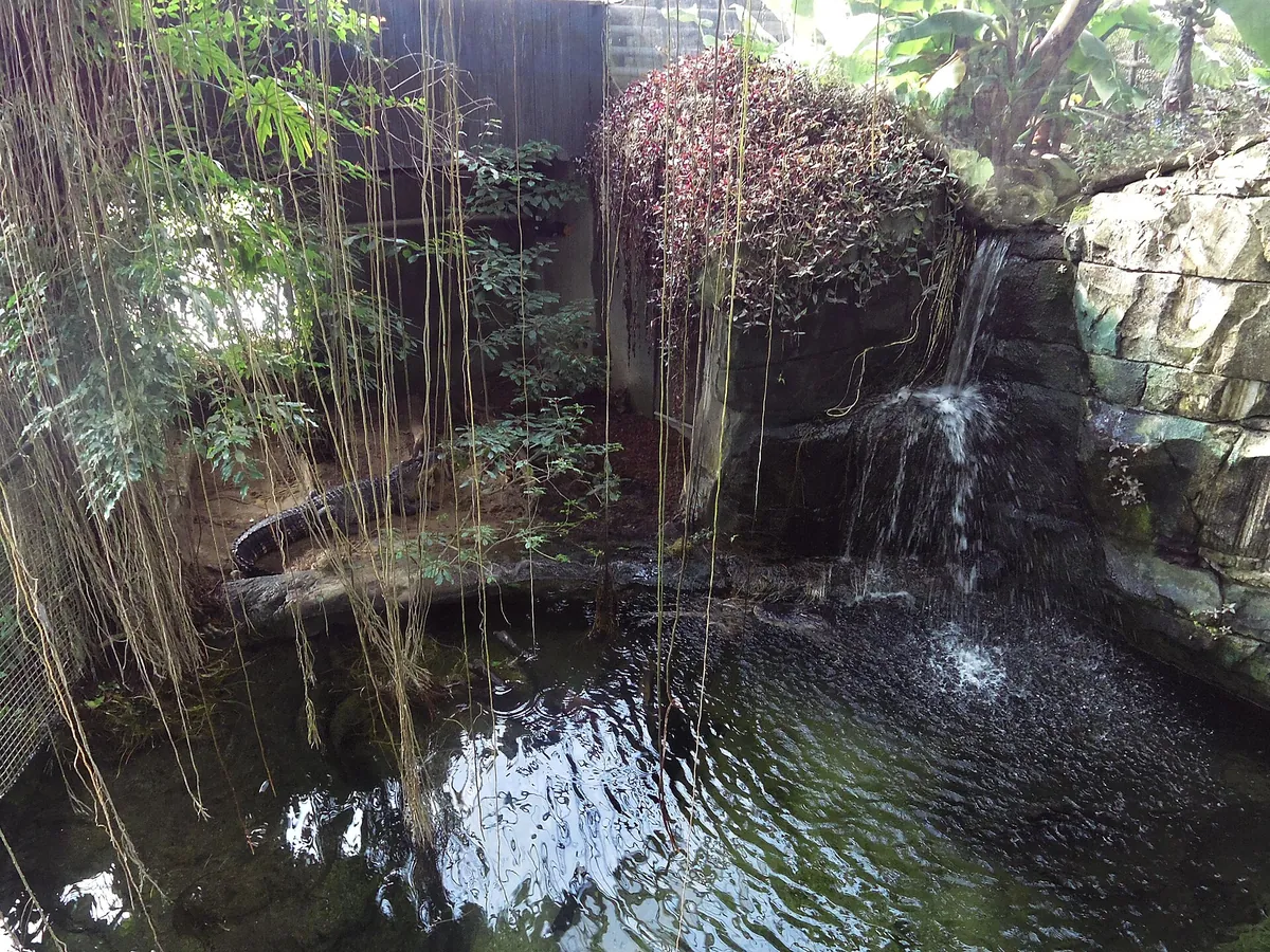Randers Regnskov, Tropical Zoo