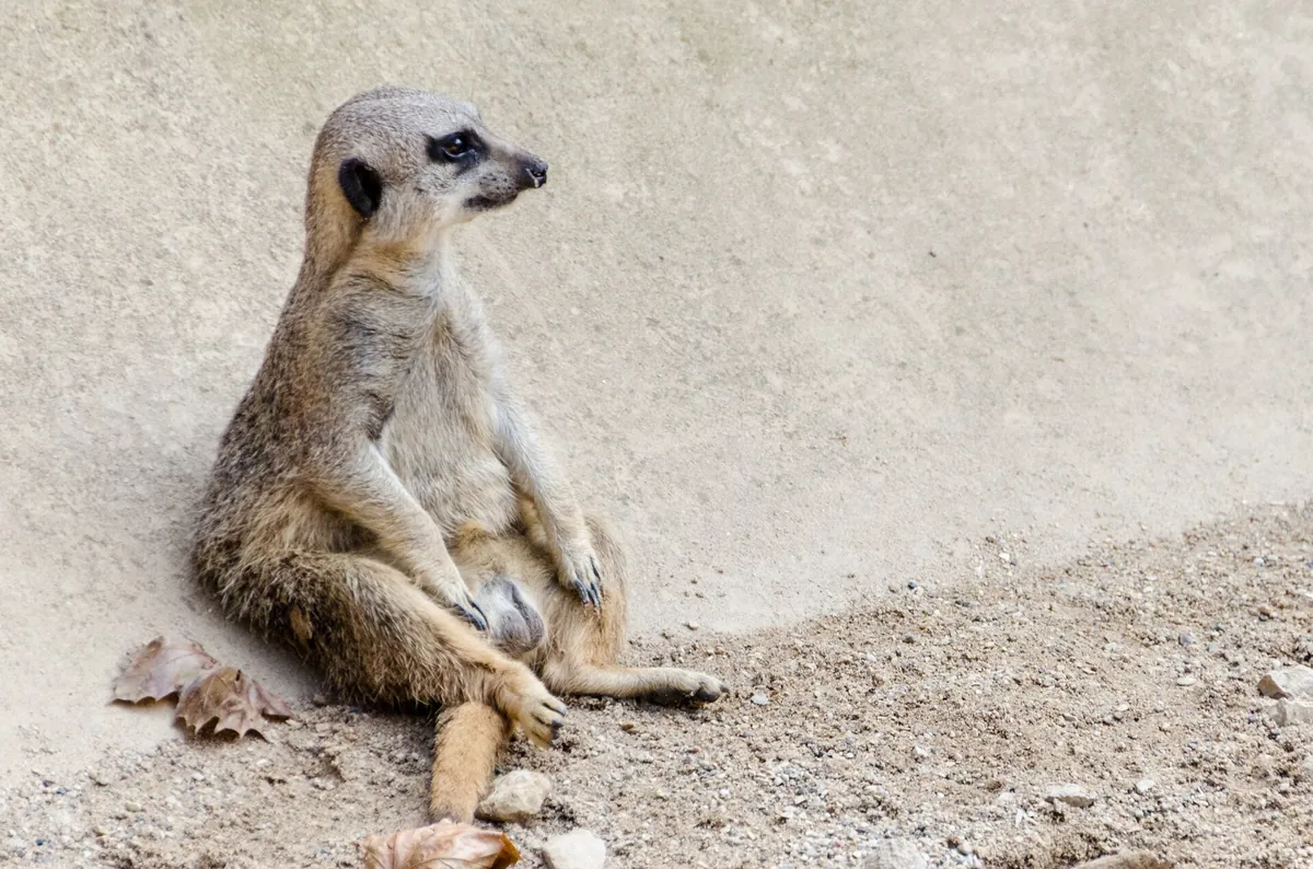 Racine Zoological Gardens