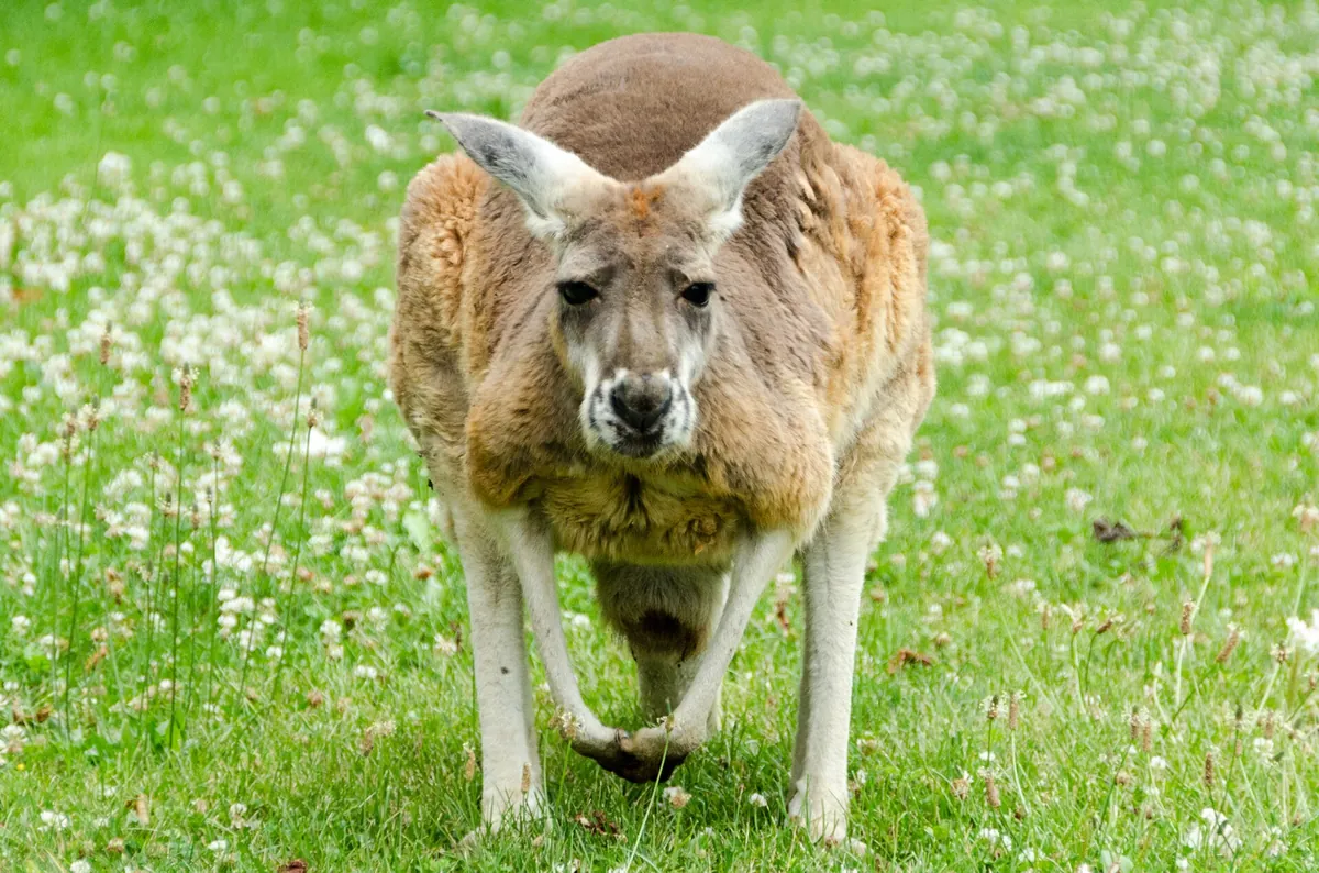 Racine Zoological Gardens