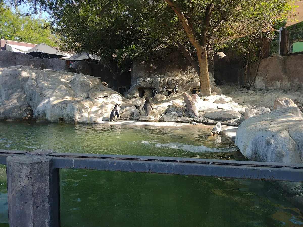 Zoológico Nacional, Parque Metropolitano de Santiago