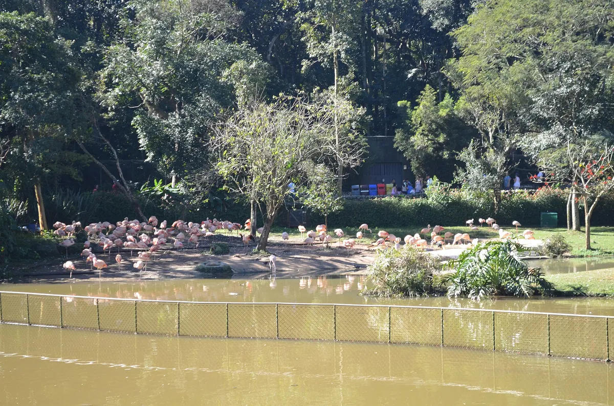 São Paulo Zoo