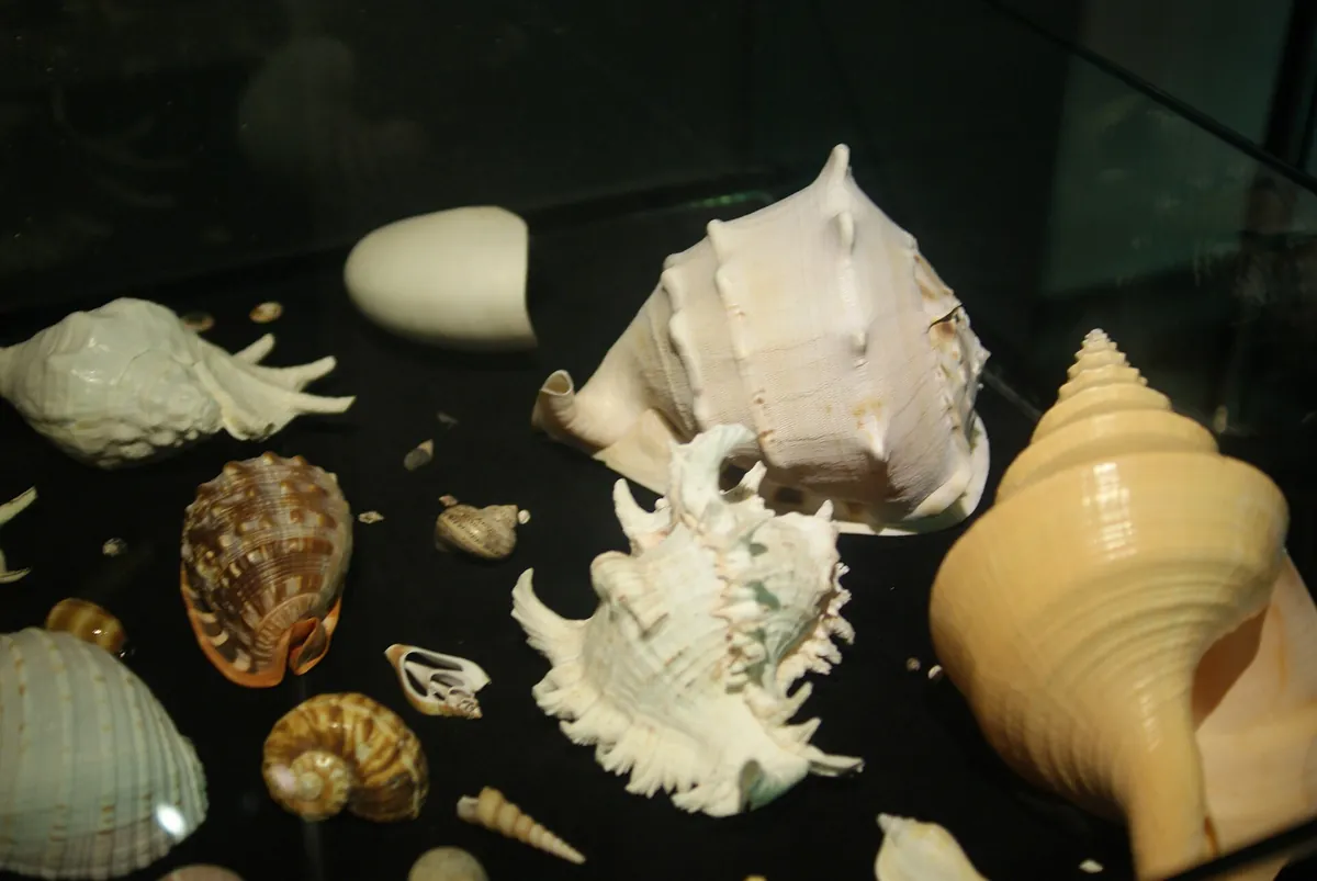 Antalya Aquarium