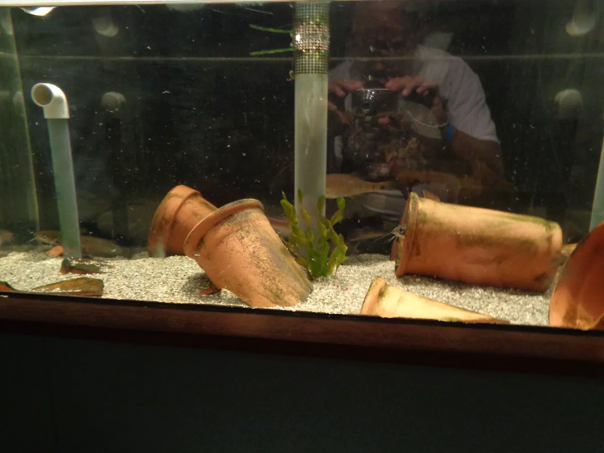 Flint RiverQuarium