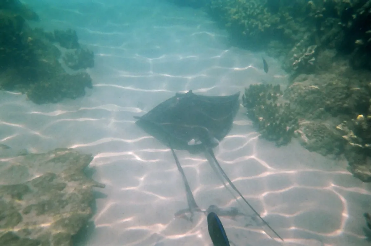 Discovery Cove