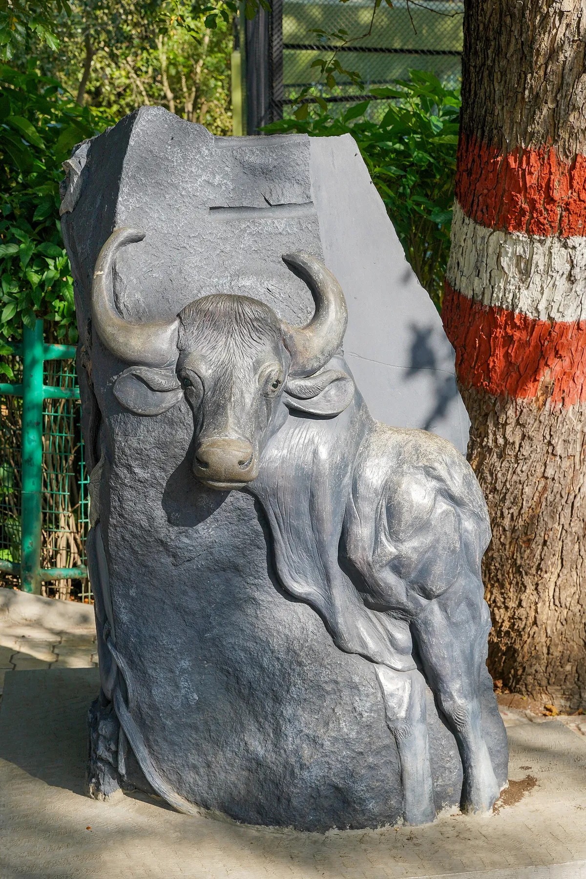 Mysore Zoo