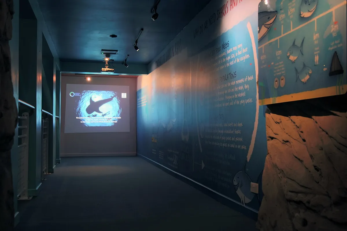 National Marine Aquarium