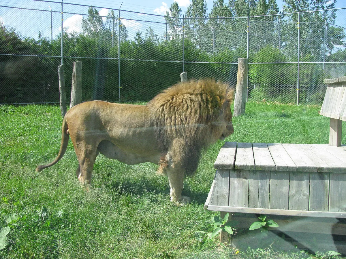 Parc Safari
