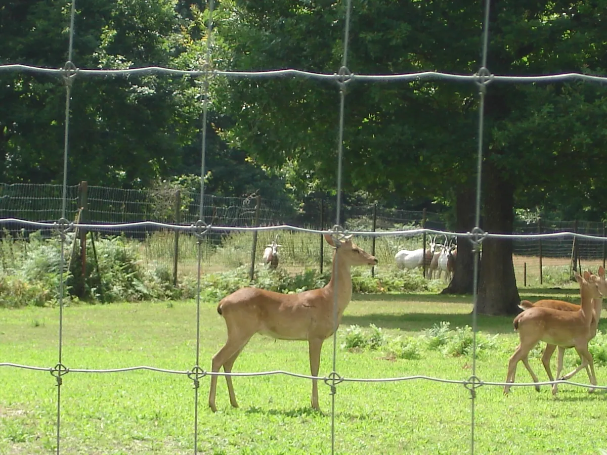 Haute Touche Zoological Park