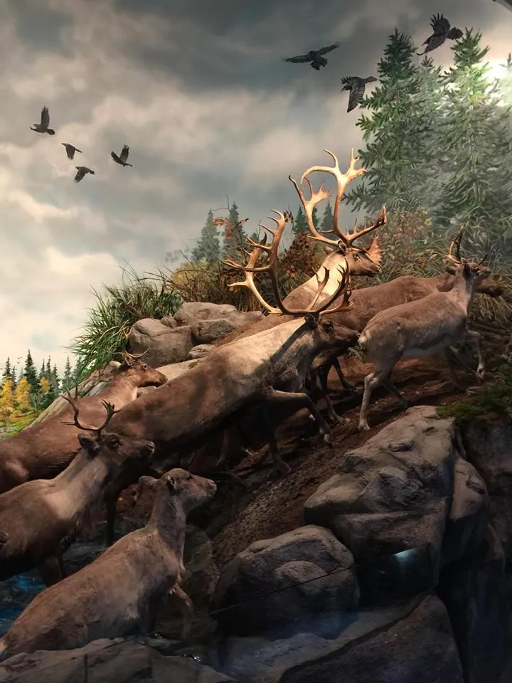 Johnny Morris' Wonders of Wildlife National Museum & Aquarium