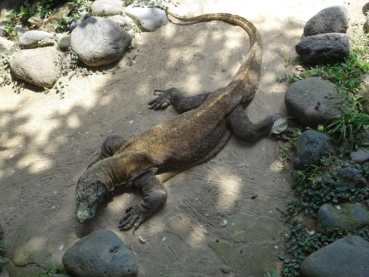 Bali Bird Park