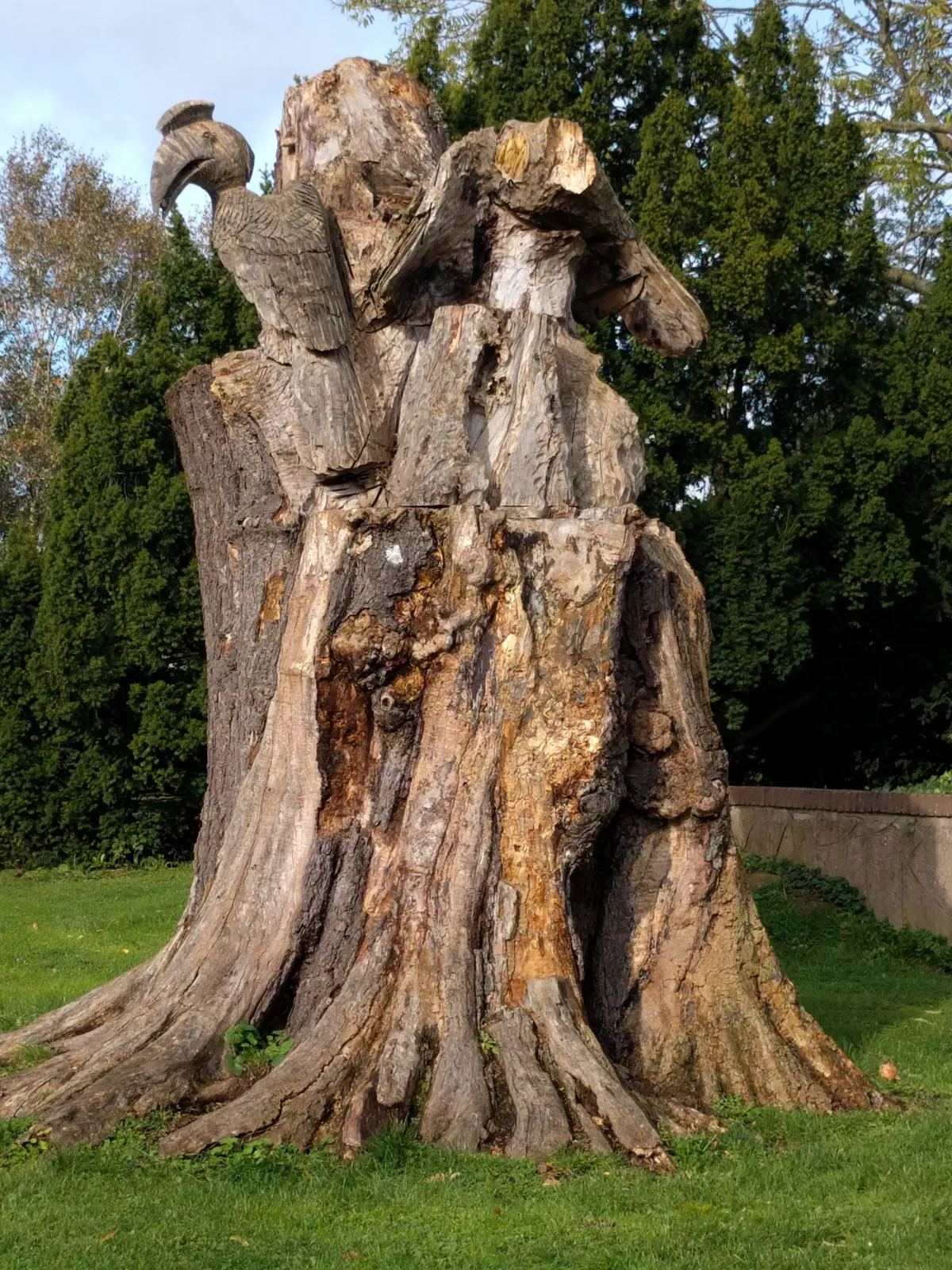 Vogelpark Avifauna