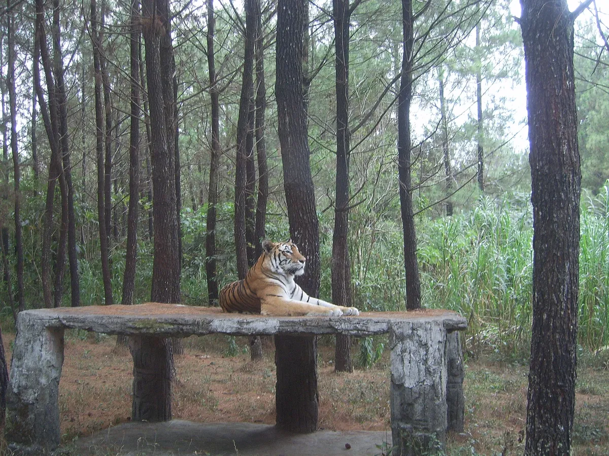 Taman Safari Indonesia 2