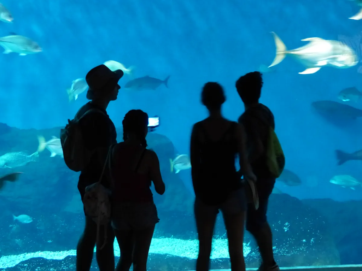 ACUARIO DE SEVILLA