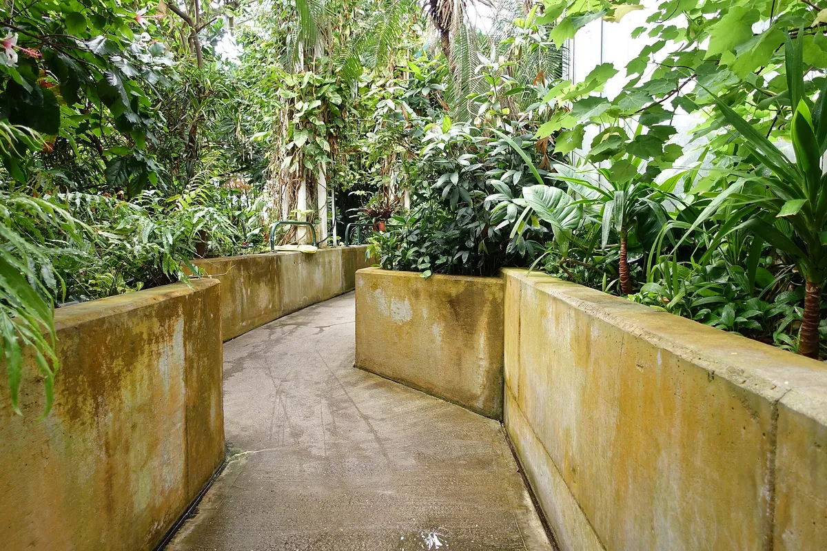 Plantasia