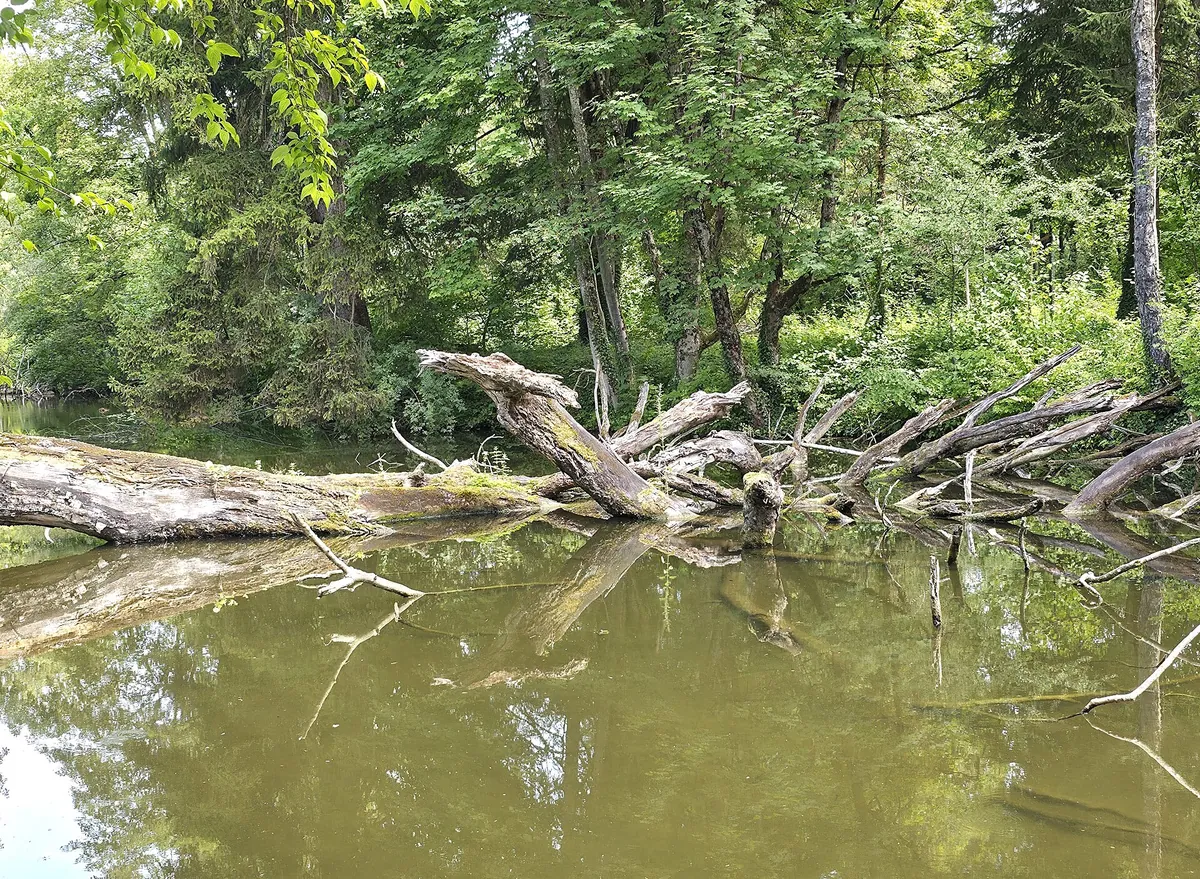 Tierpark Hellabrunn