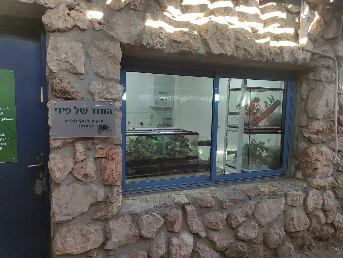 The Tisch Family Zoological Gardens – The Biblical Zoo