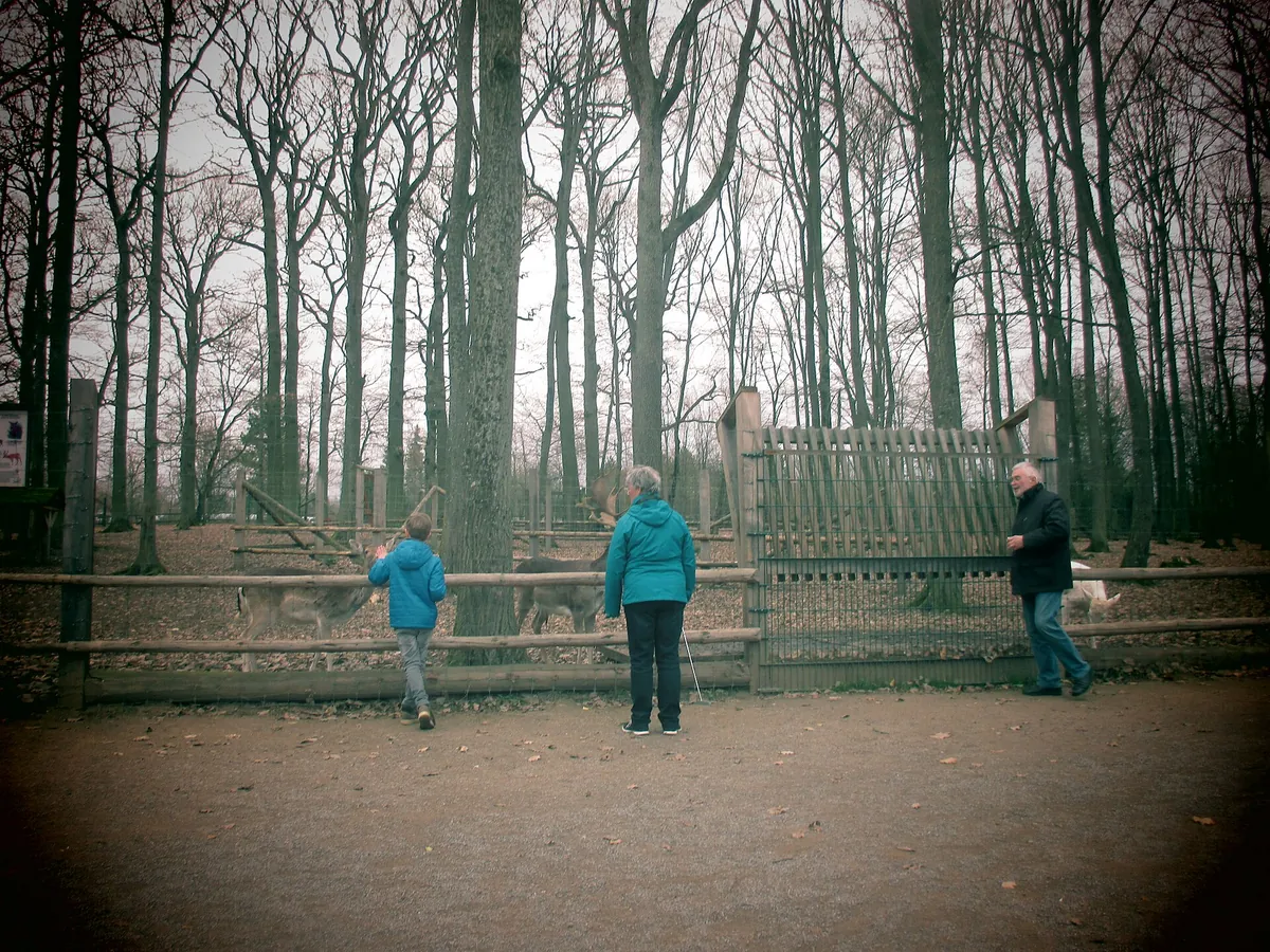 Wildpark An den Eichen