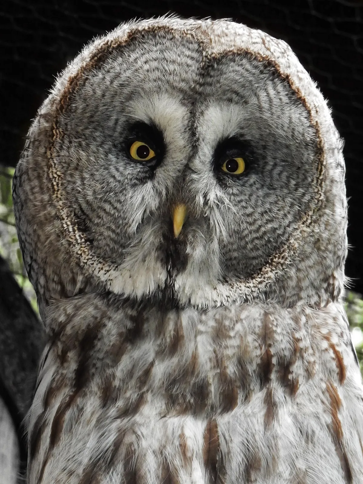 Banham Zoological Gardens
