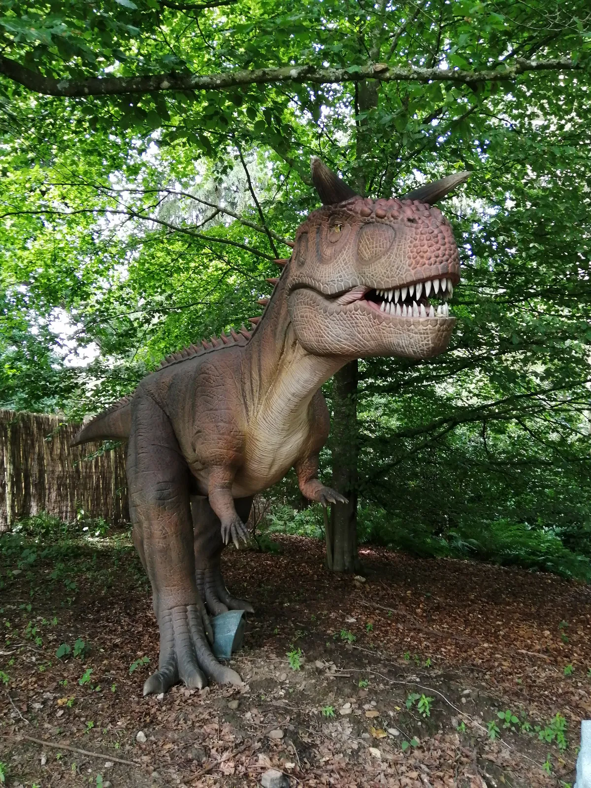Blair Drummond Safari and Adventure Park