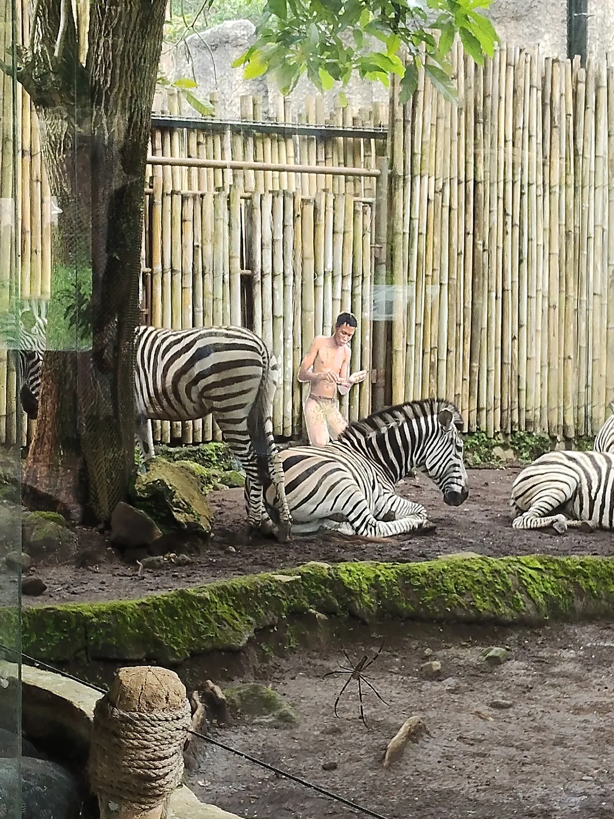 Batu Secret Zoo
