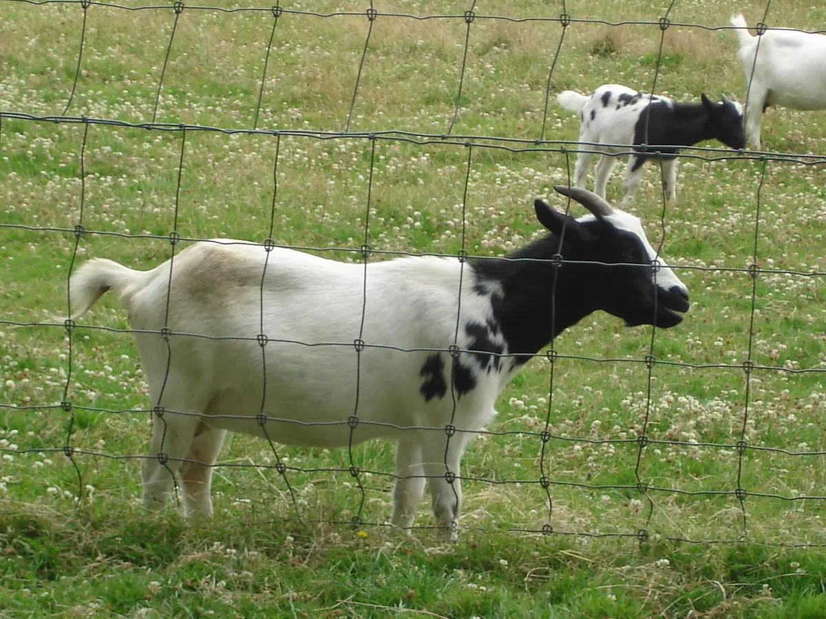 Haute Touche Zoological Park