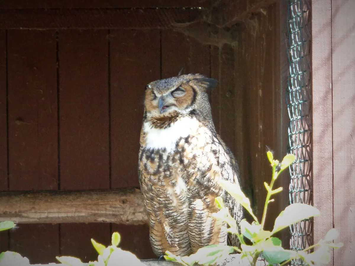 Vogelpark Niendorf